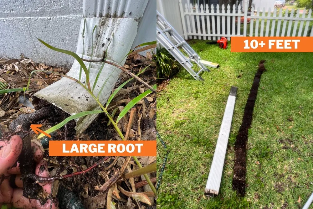 Slide of Gray Gutters