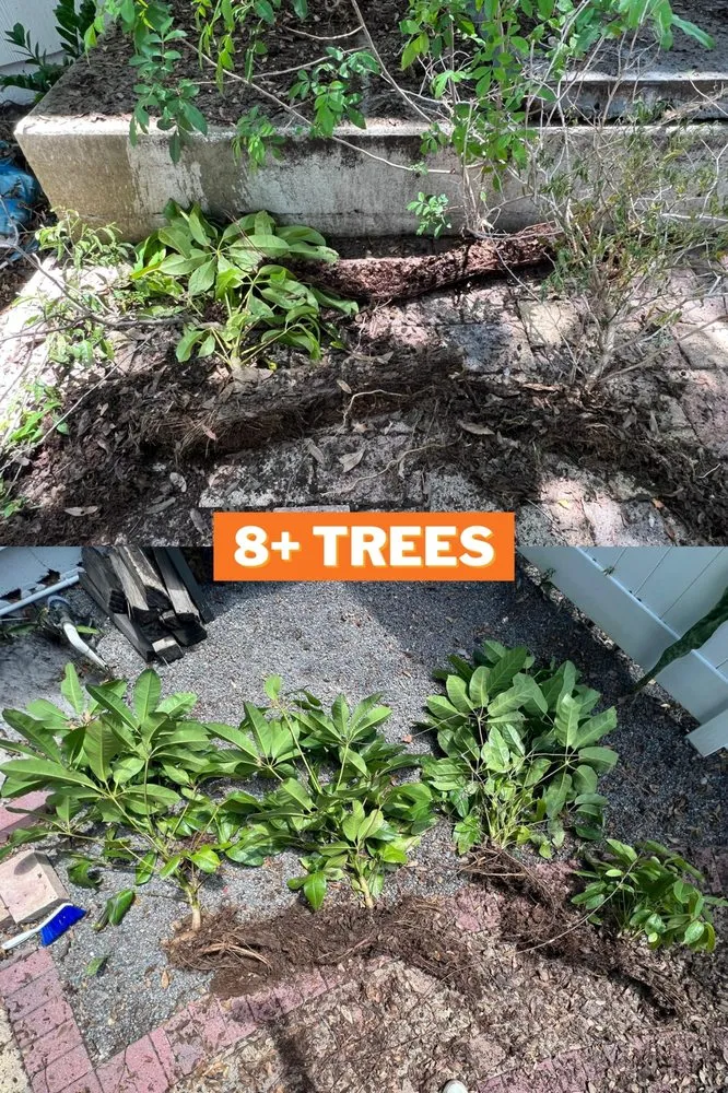 Slide of Gray Gutters