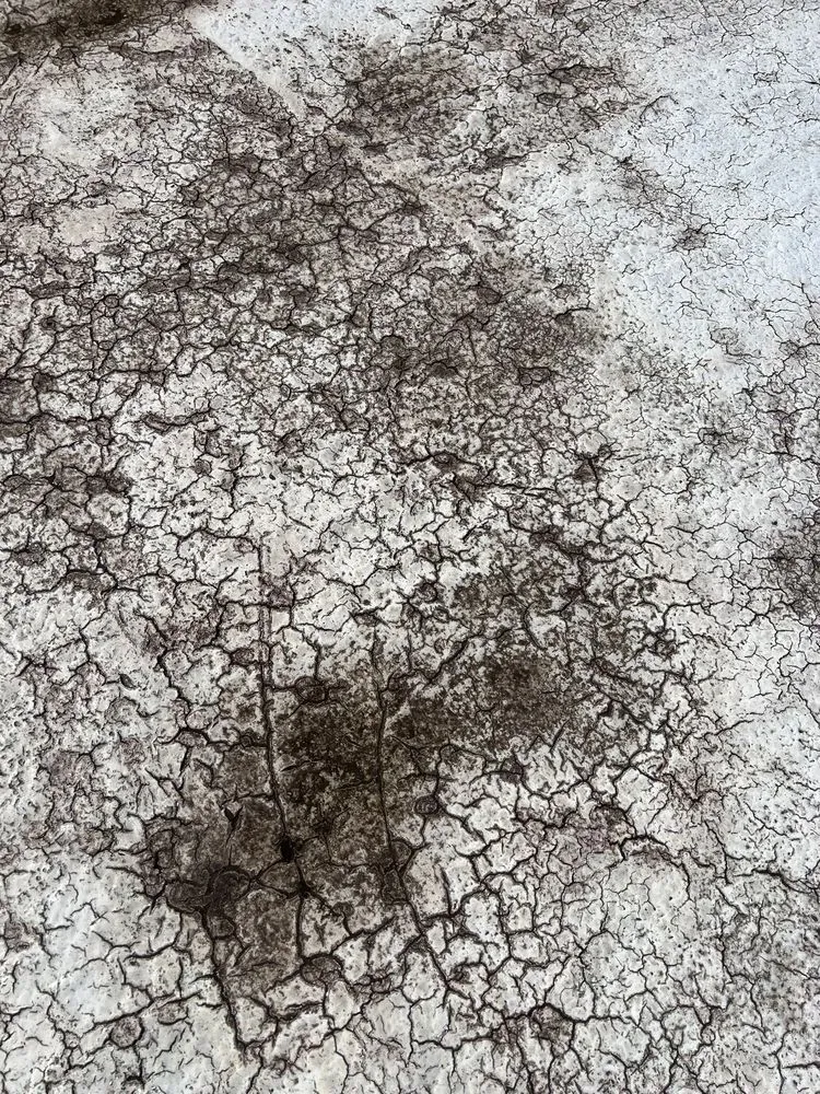 Slide of Gray Roofing Service