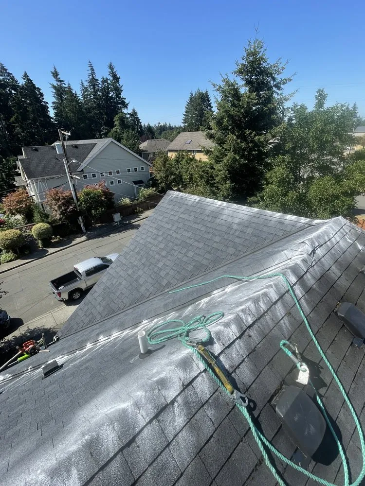 Slide of Gray Skies Roof Cleaning