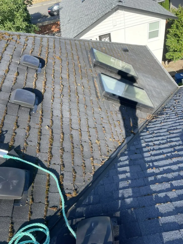 Slide of Gray Skies Roof Cleaning