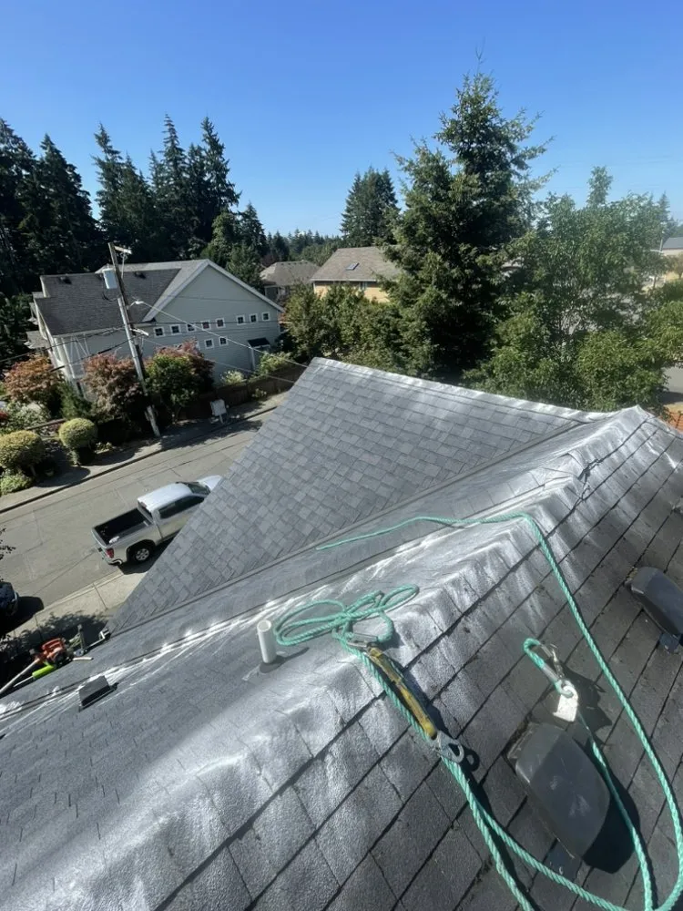 Slide of Gray Skies Roof Cleaning