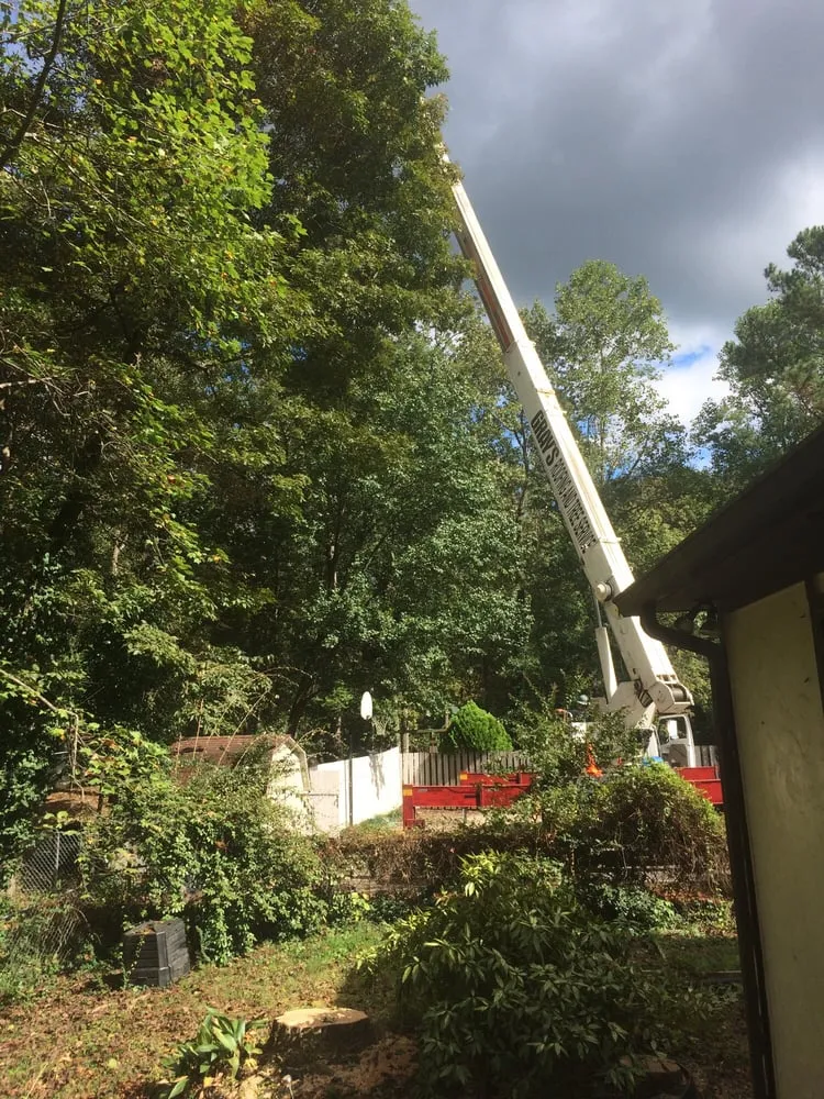 Slide of Gray's Roofing and Tree Service