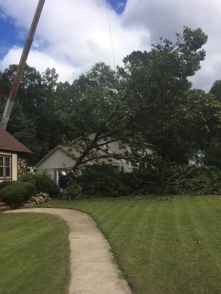 Slide of Gray's Roofing and Tree Service