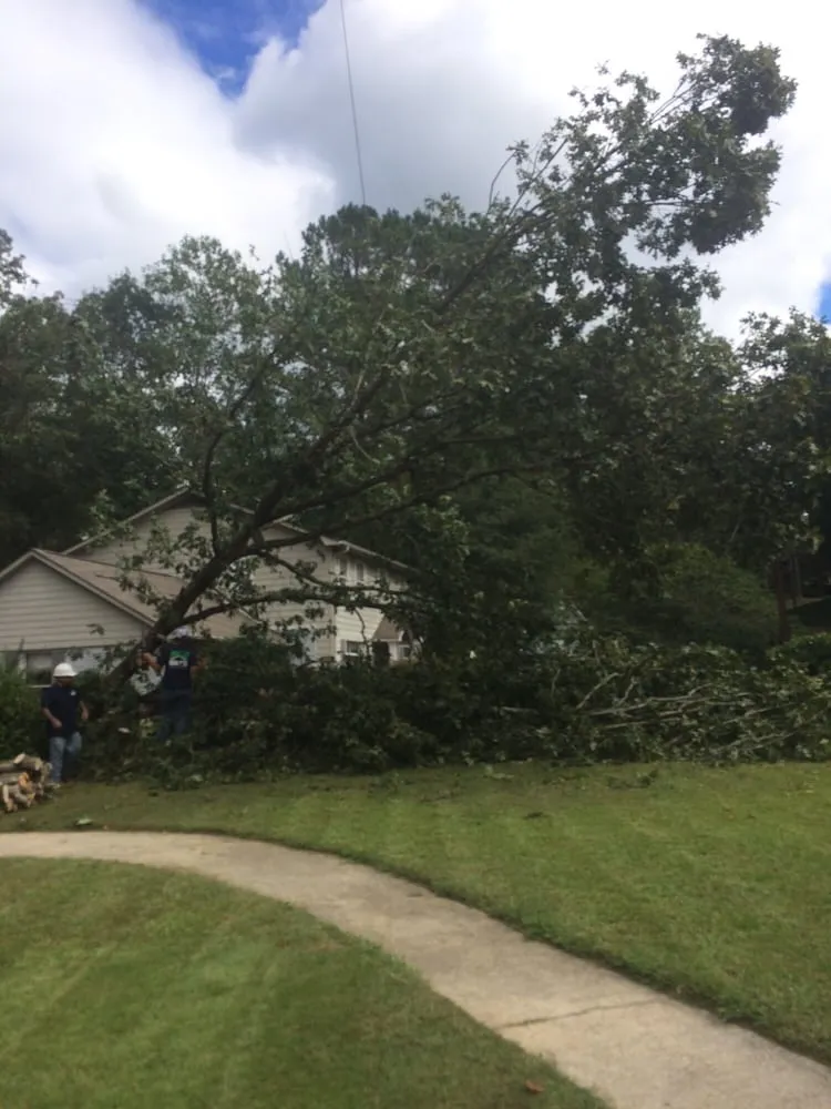 Slide of Gray's Roofing and Tree Service