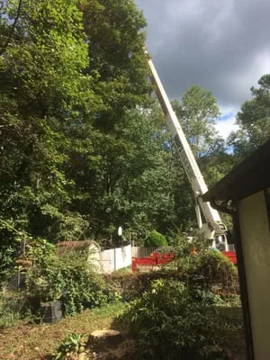 Gray's Roofing and Tree Service