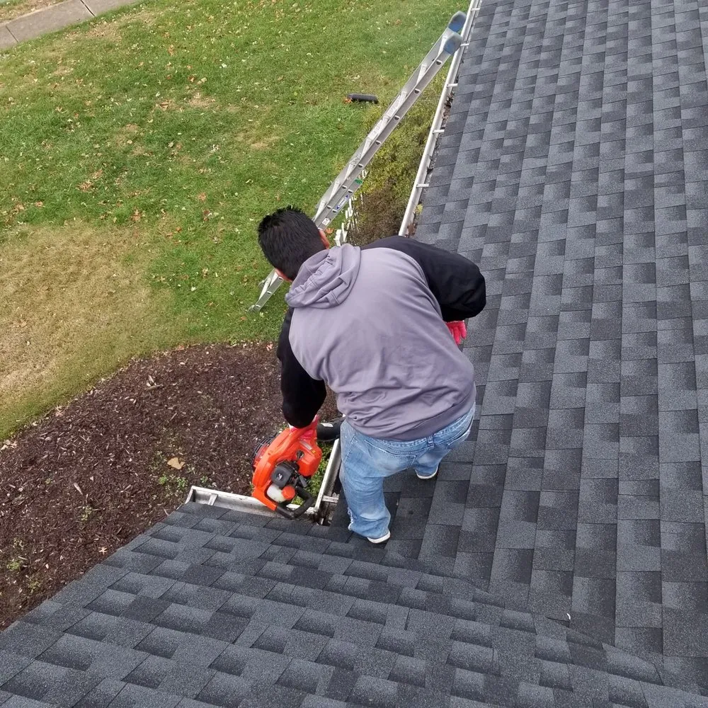 Slide of Great American Gutter & Painting