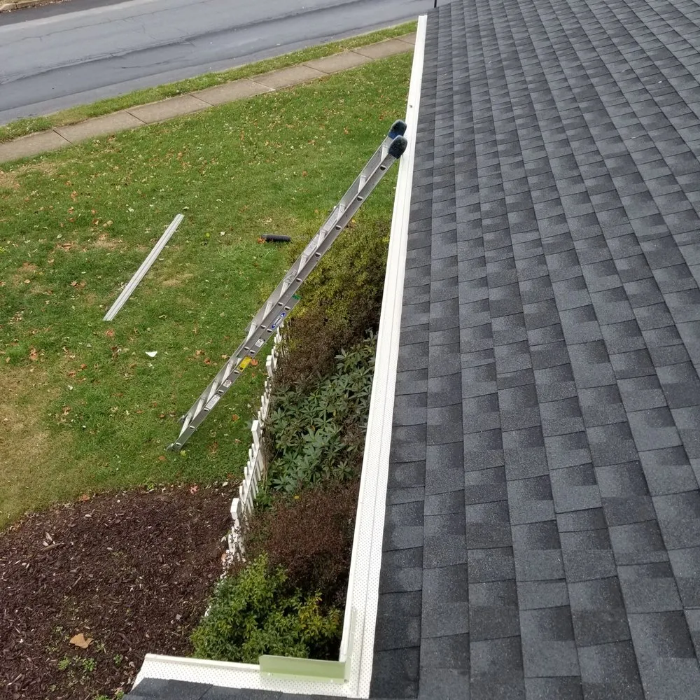 Slide of Great American Gutter & Painting