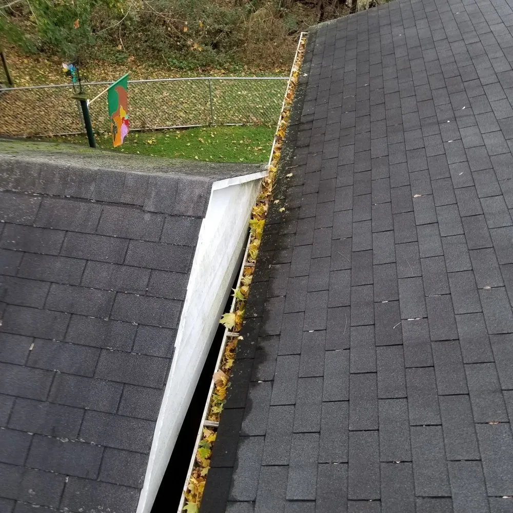 Slide of Great American Gutter & Painting