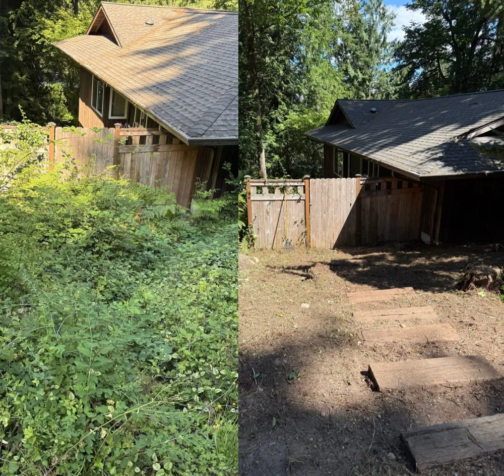 Slide of Green & Roof