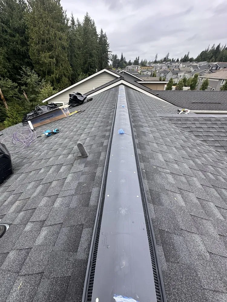 Slide of Green & Roof