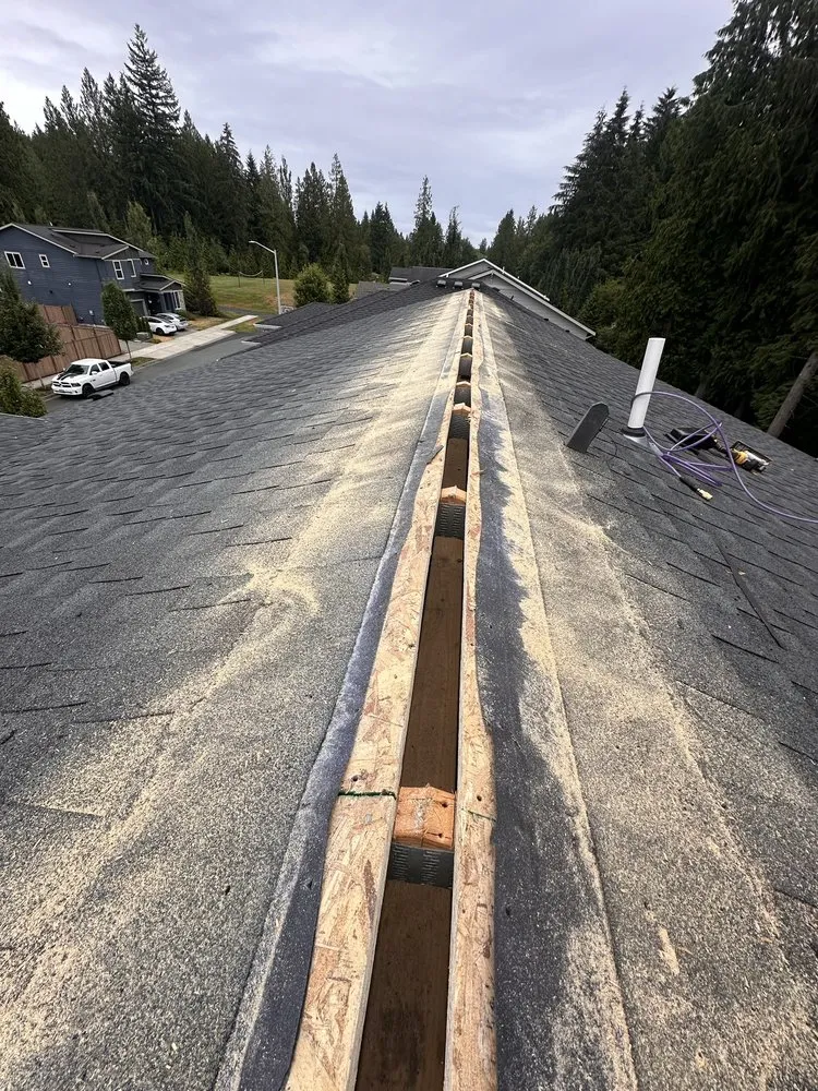 Slide of Green & Roof