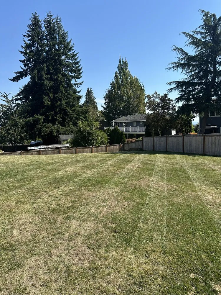 Slide of Green & Roof