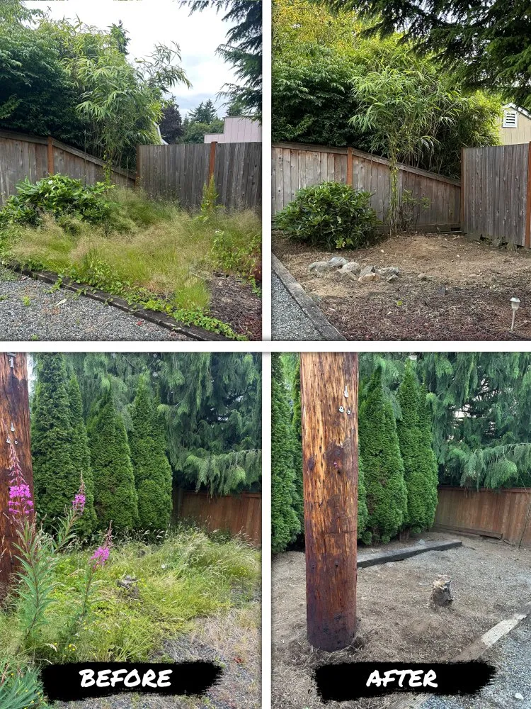 Slide of Green & Roof