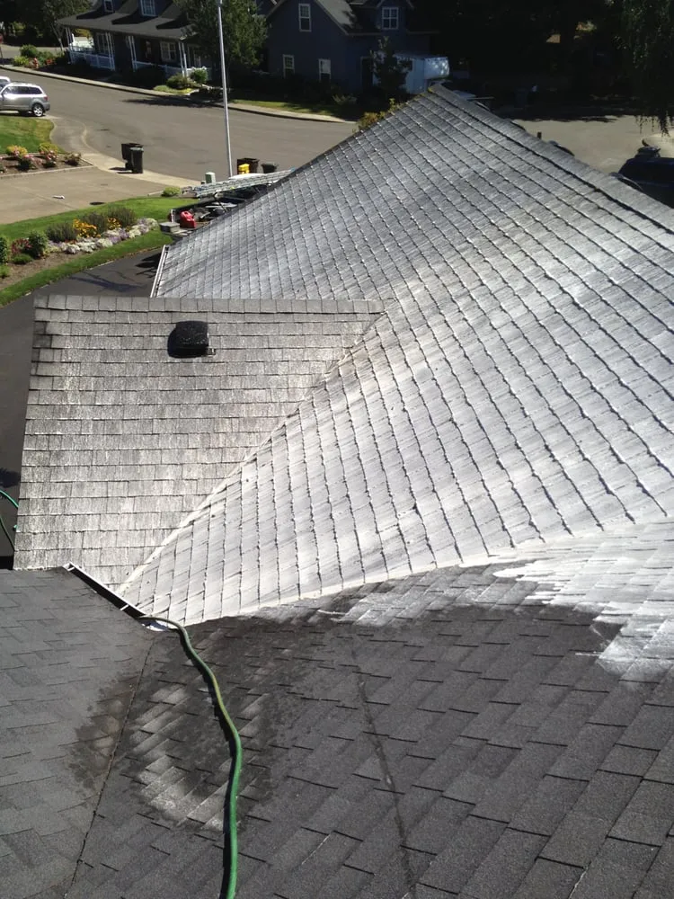 Slide of Green and Clean Moss Removal