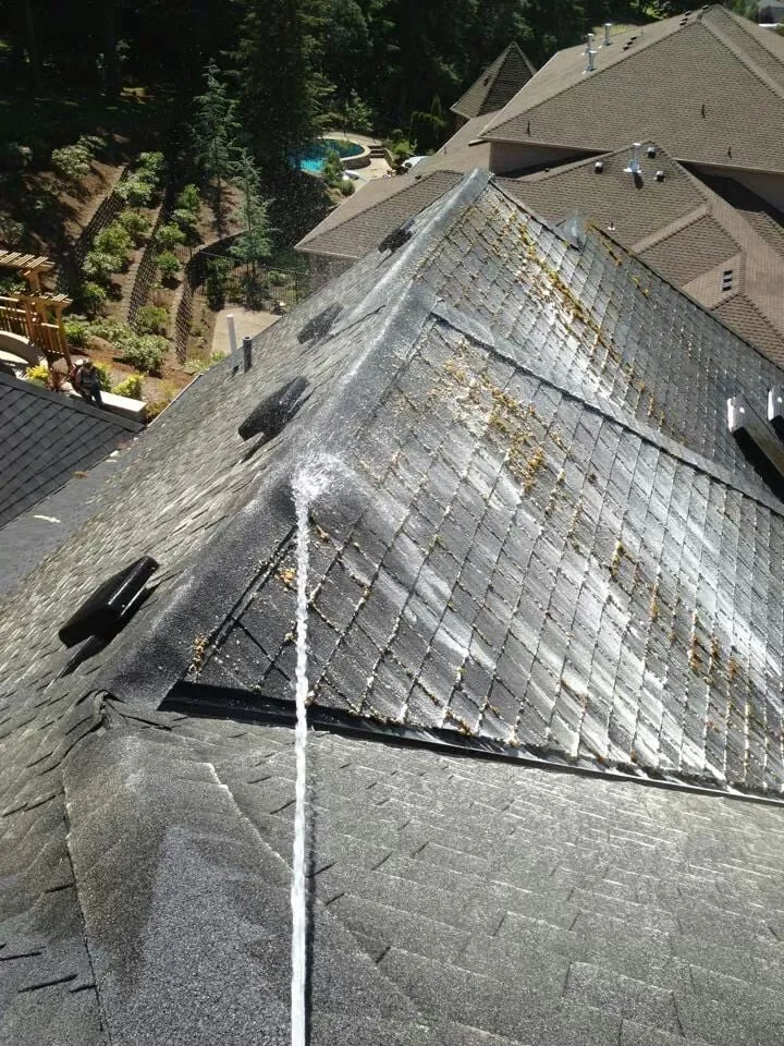 Slide of Green and Clean Moss Removal