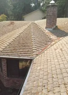 Slide of Green and Clean Moss Removal