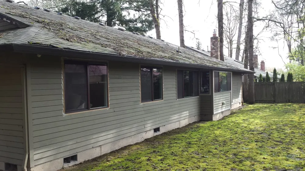 Slide of Green and Clean Moss Removal