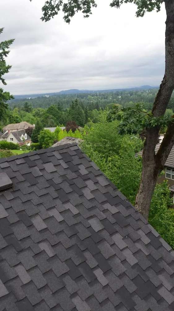 Slide of Green and Clean Moss Removal