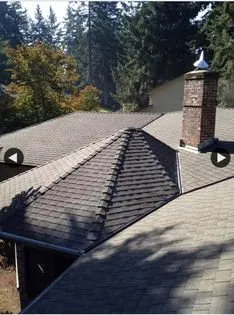 Slide of Green and Clean Moss Removal