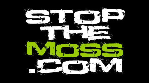 Slide of Green and Clean Moss Removal