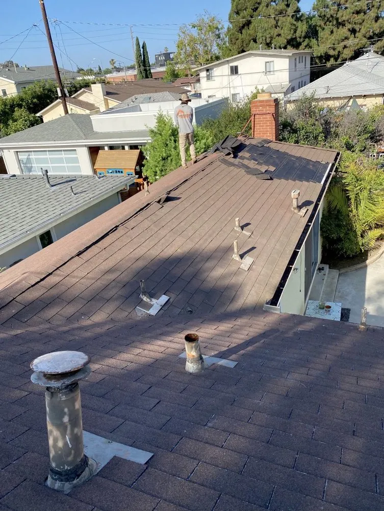 Slide of Green Bird Construction