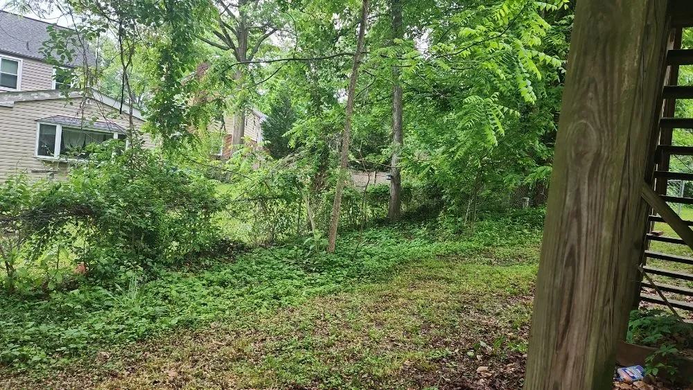 Slide of Green Care Tree & Landscaping