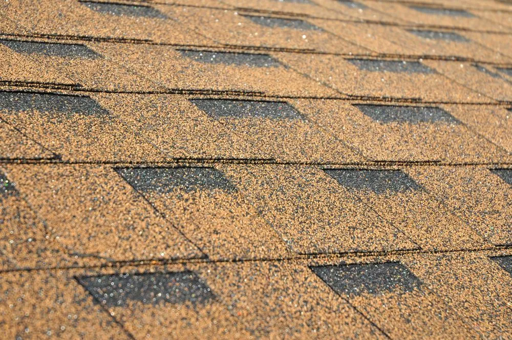 Slide of Green Conception