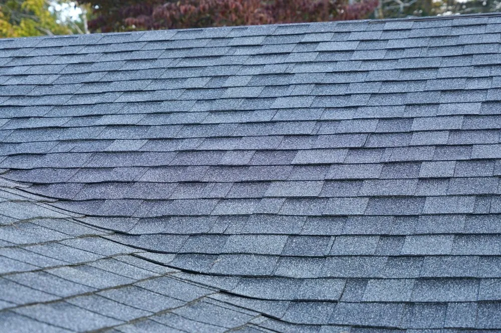 Slide of Green Conception