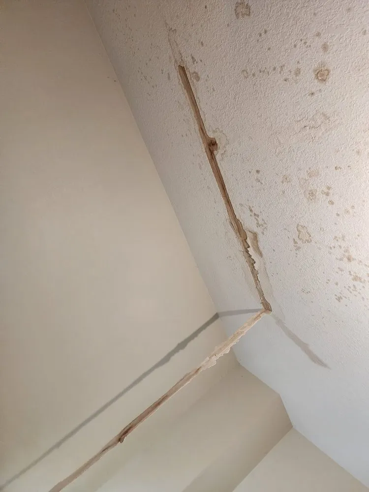 Slide of Green Construction