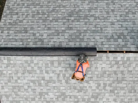 Green Factor Roofing