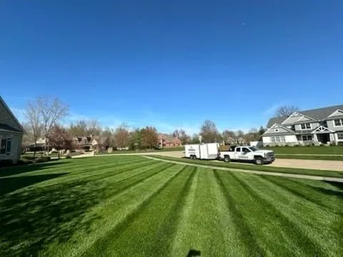 Slide of Green Geeks