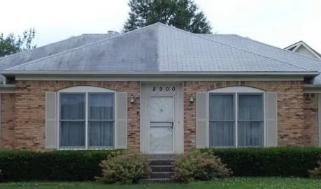 Slide of Green Goose Exterior Cleaning