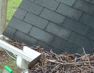 Slide of Green Goose Exterior Cleaning