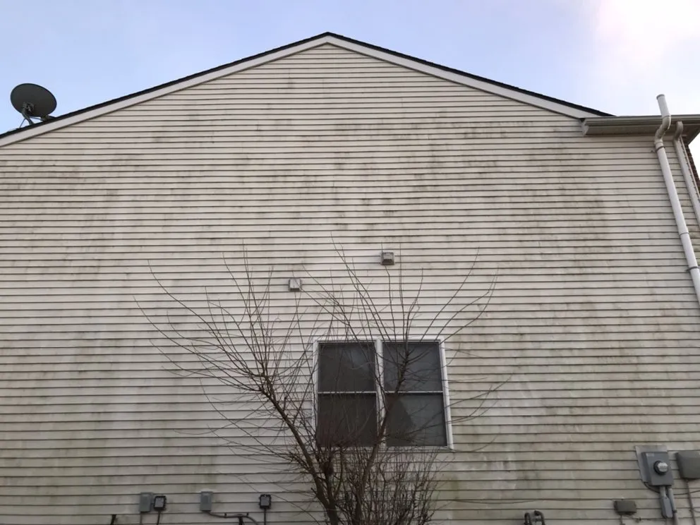 Slide of Green Goose Exterior Cleaning