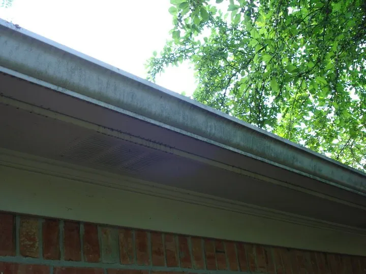 Slide of Green Goose Exterior Cleaning