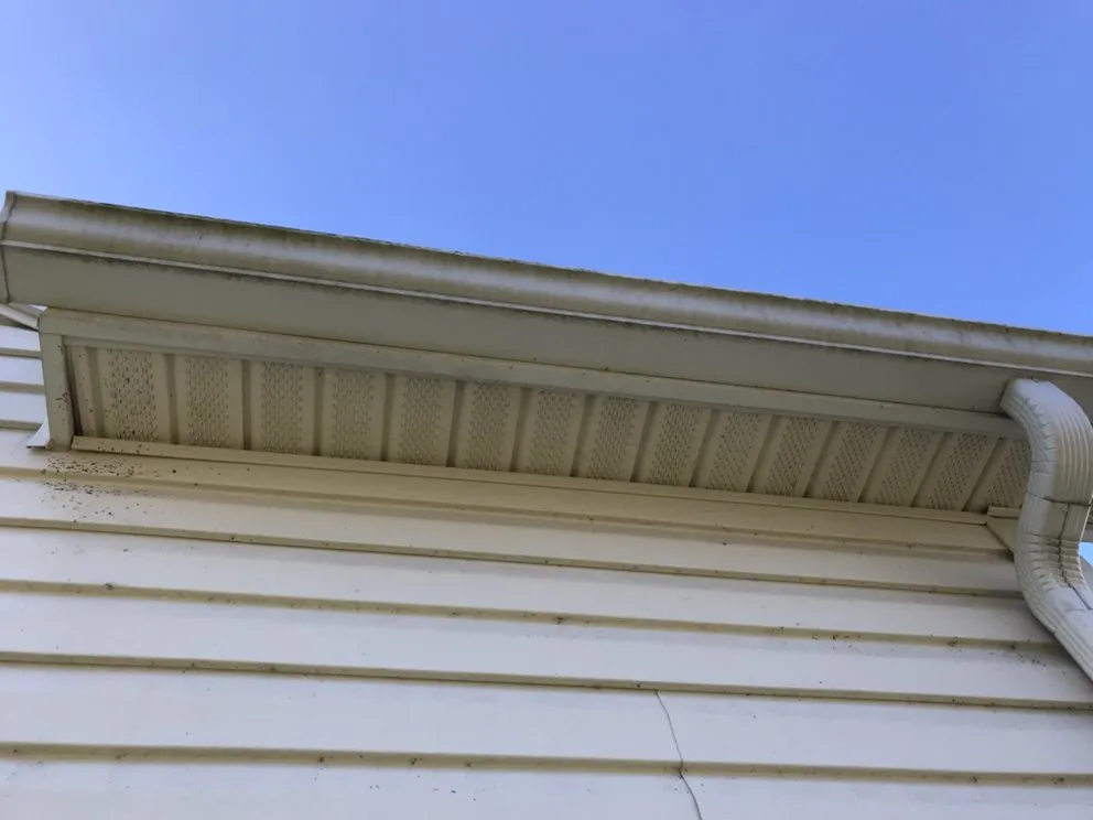 Slide of Green Goose Exterior Cleaning