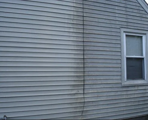 Green Goose Exterior Cleaning Logo