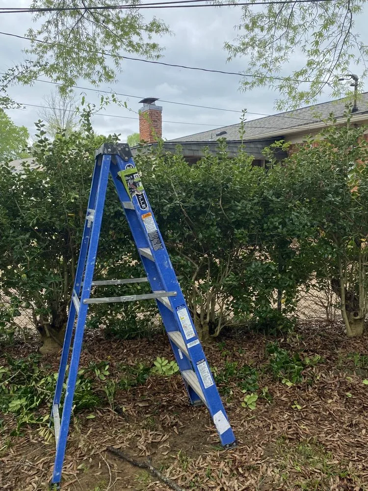 Slide of Green Lawn Care