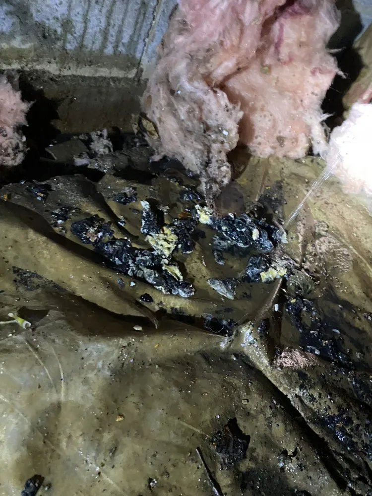 Slide of Green Lawn Care