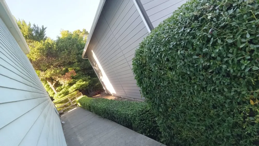 Slide of Green Life Services