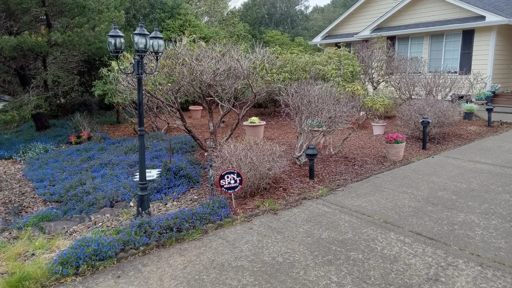 Slide of Green Life Services