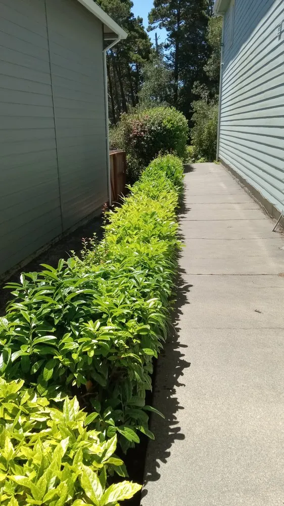 Slide of Green Life Services