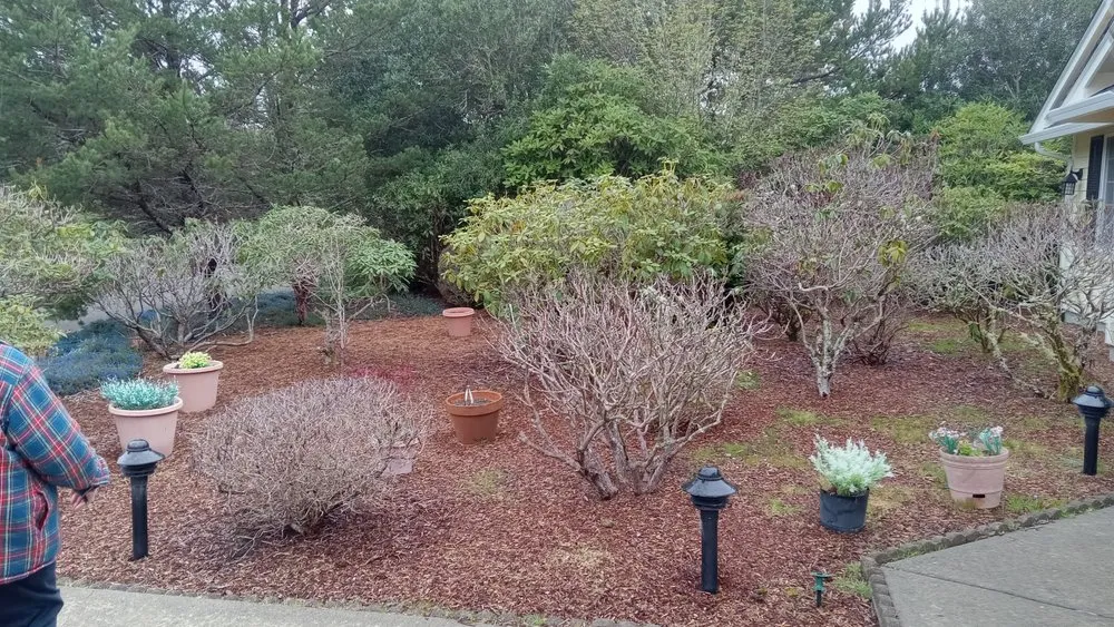 Slide of Green Life Services