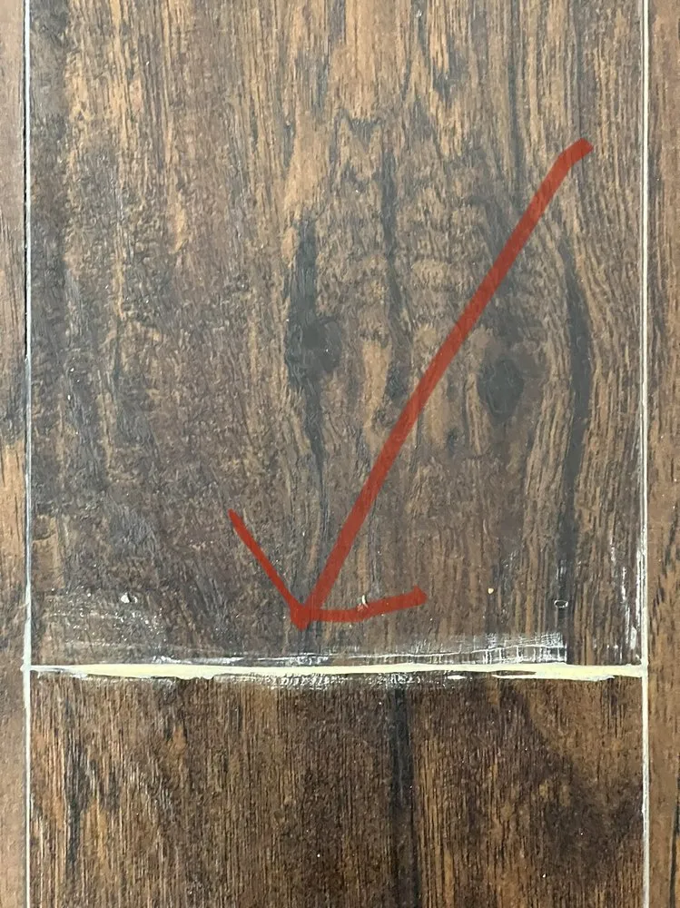 Slide of Green Light Restoration