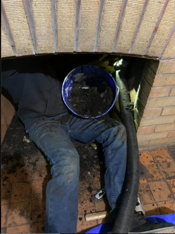 Slide of Green Light Restoration