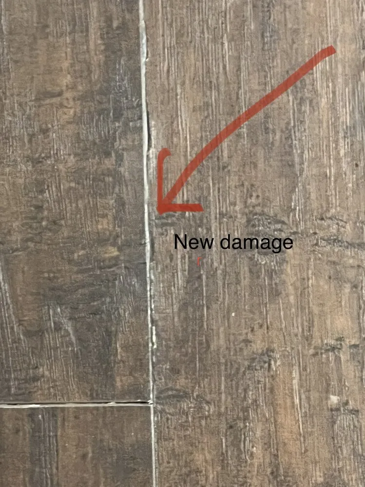 Slide of Green Light Restoration