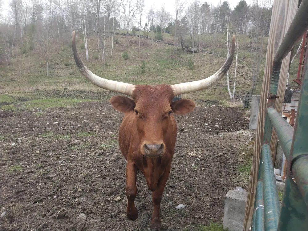 Slide of Green Mountain Roof Repair