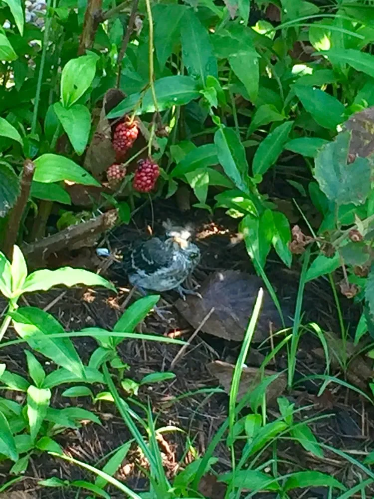 Slide of Green Power 4 Texas