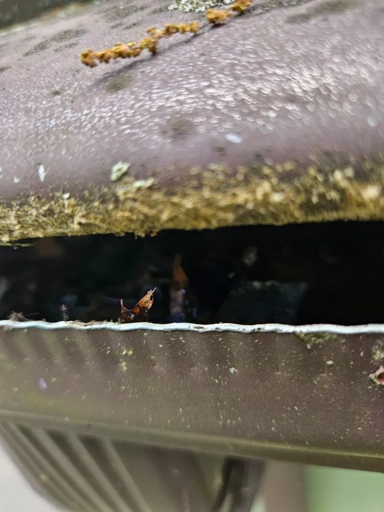 Slide of Green Protection Enviroment